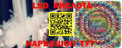 СК Моздок