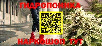 СК Можайск